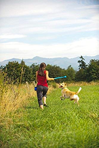 Large Dog Toy, 3 Inch Diameter, Pack of 1 A391014