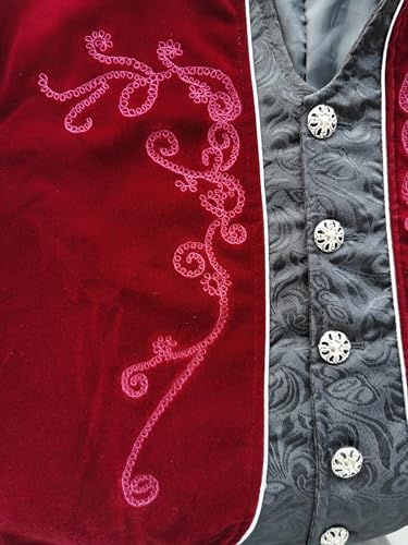 Medieval Steampunk Tailcoat Halloween Costumes Jacket S815