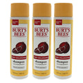 10 oz Pomegranate Shampoo Pack of 3 V19874