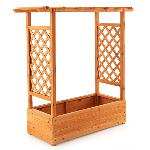 Raised Garden Bed with Arch Trellis Wood Planter Box O8000