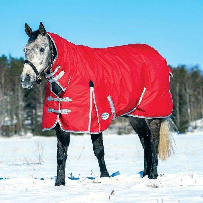 Red/Silver/Navy Combo Neck Lite W78029