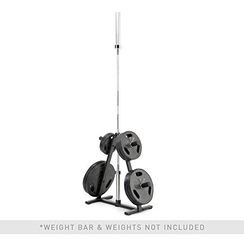 Olympic Weight Plate Tree Weight Storage Rack Q859