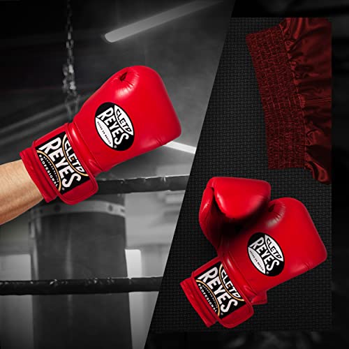 Training Boxing Gloves with Hook and Loop Closure S3796