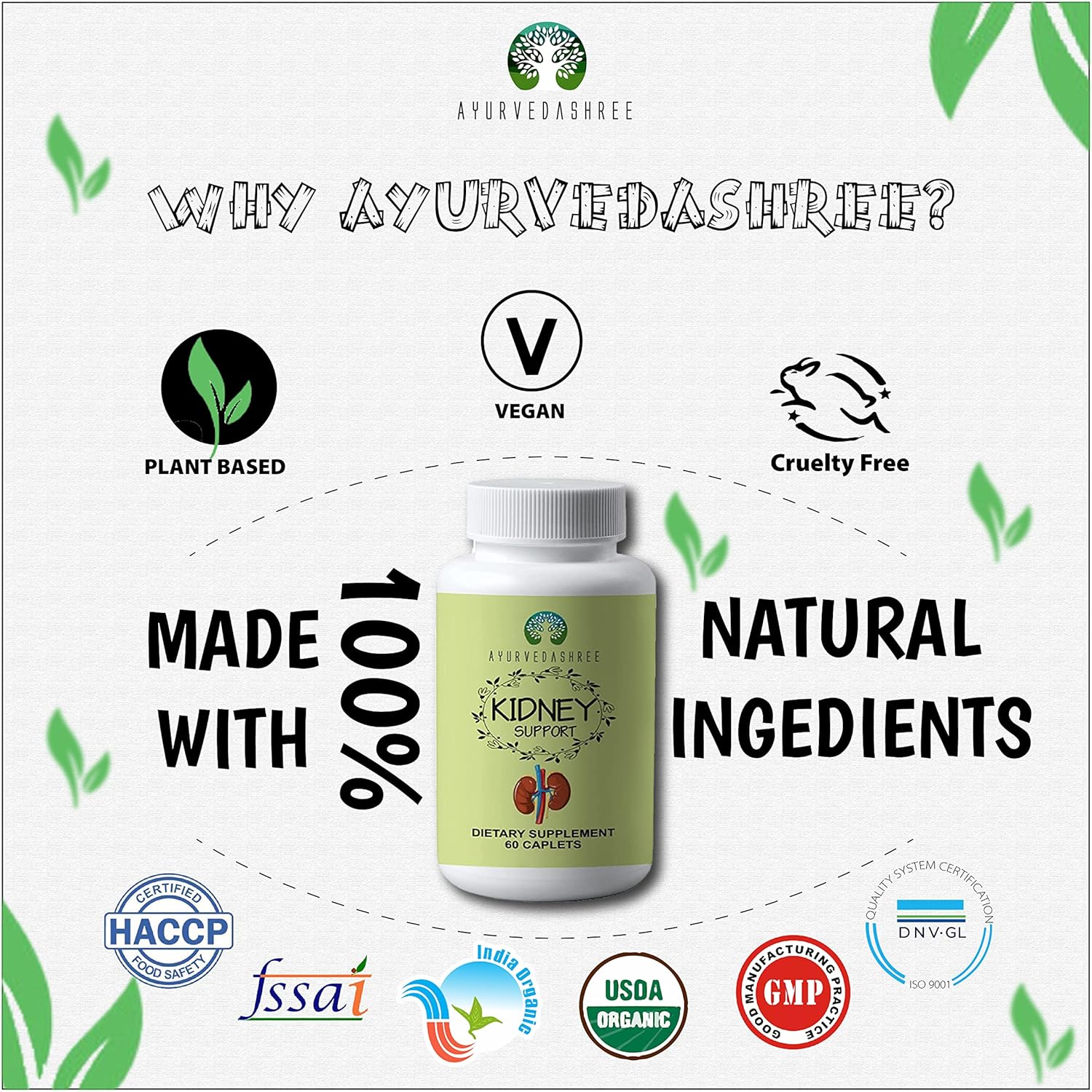 Kidney Support Herbal Supplement Vegan Gluten-Free Caplet 1000 MG T951