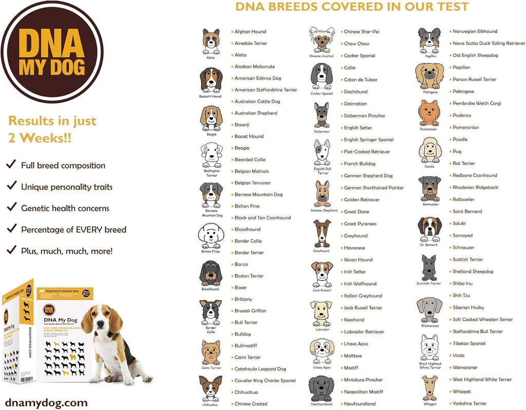Canine Breed Identification Test J990431