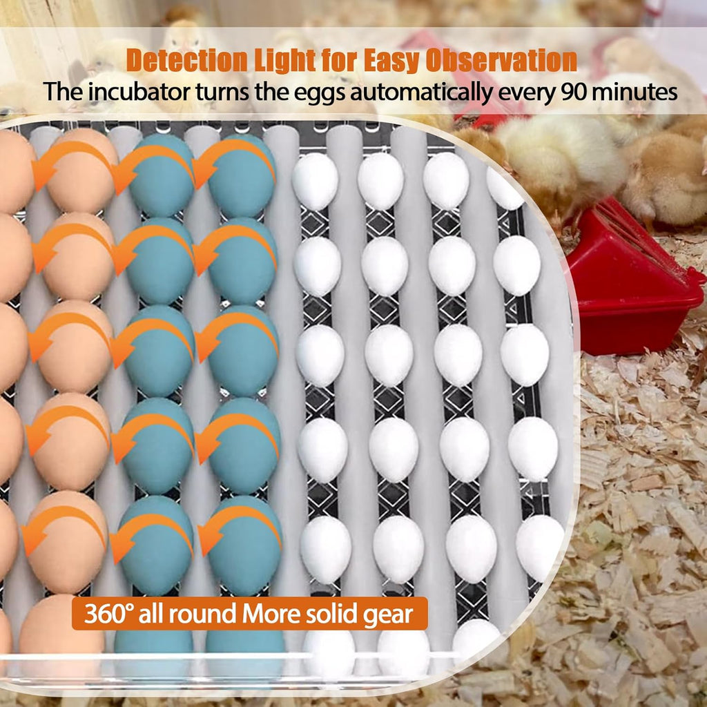 16 Eggs Incubator with Automatic Egg Turning, Temperature Humidity Control, LED Candler, Adjustable Egg Tray Y143