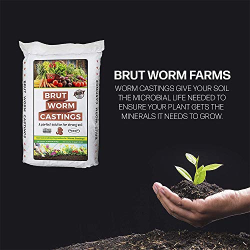 30 Lb Worm Castings R817