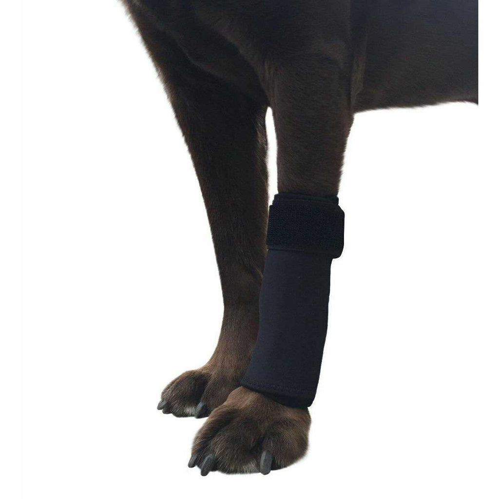 Dog Front Leg Compression Brace Wrap Sleeve A2019