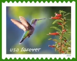 Booklet of 20 First-Class Mail Forever Postage Stamps L195438