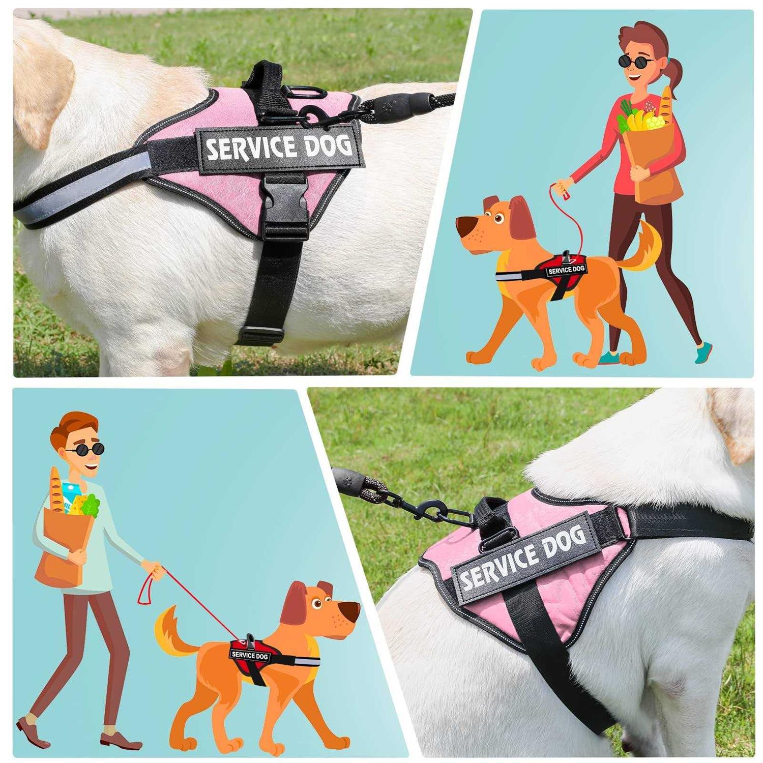 No Pull Easy On Off Pet Vest Harness R4868