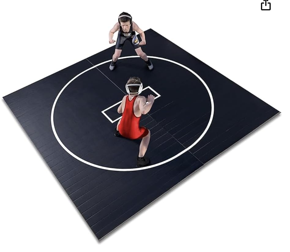 10' x 10' Wrestling Mat F19843