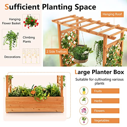 Raised Garden Bed with Arch Trellis Wood Planter Box O8000
