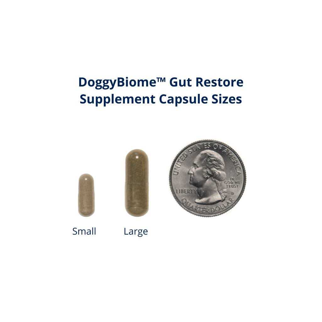 30 Capsules Supplement F3576