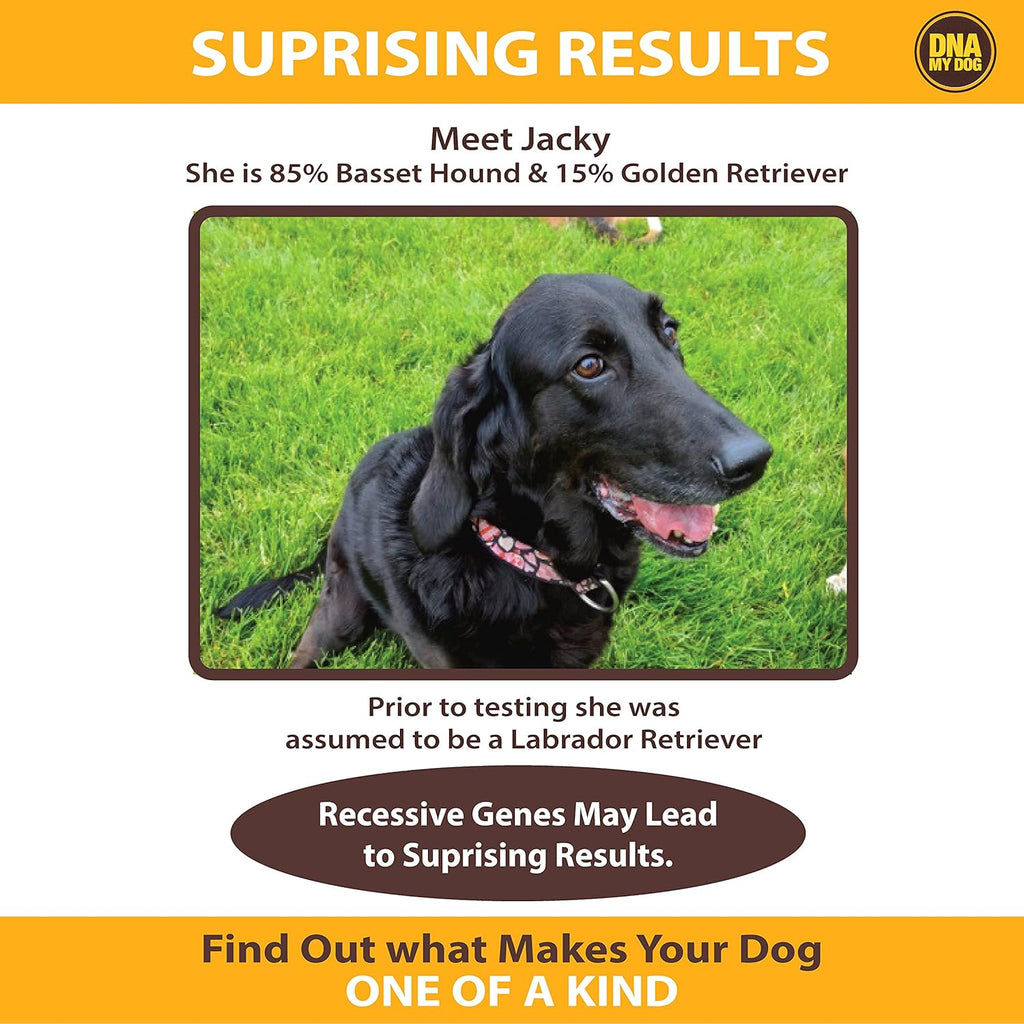 Canine Breed Identification Test J990431