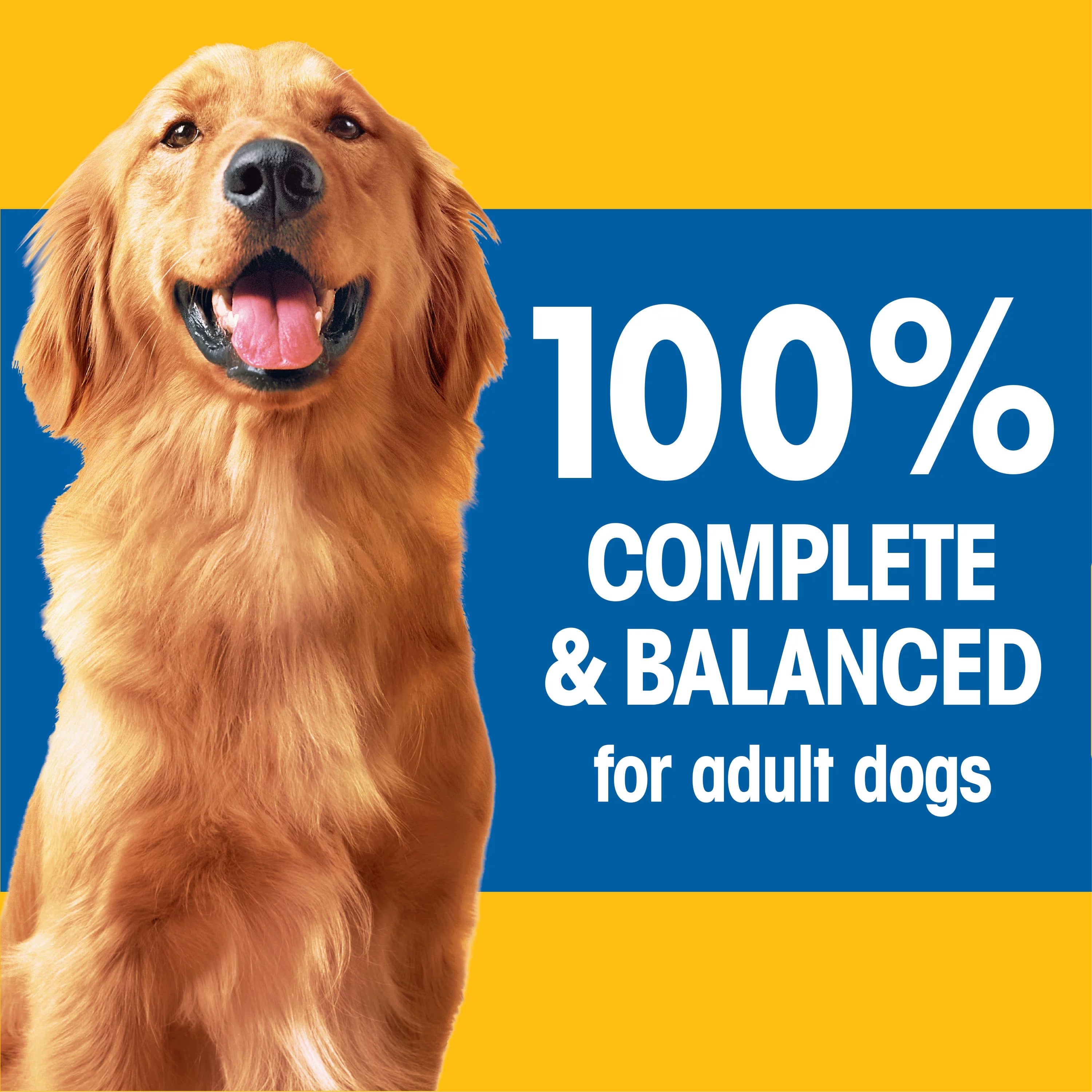44 lb Adult Dry Dog Food Roasted Chicken Rice Vegetable Flavor Kibble M9339