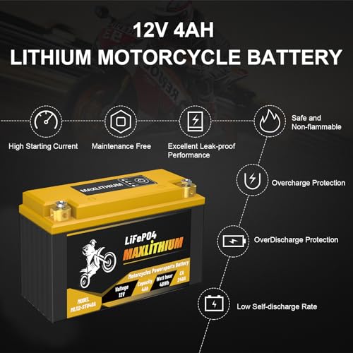 12V 12Ah 720A Lithium Powersports Battery with Smart BMS D198909