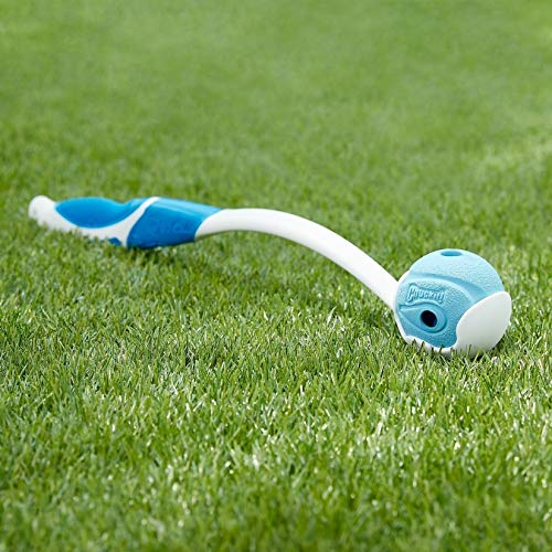 Large Dog Toy, 3 Inch Diameter, Pack of 1 A391014