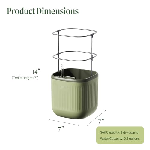 Sage Green Self-Watering Indoor Planter with Trellis T1876