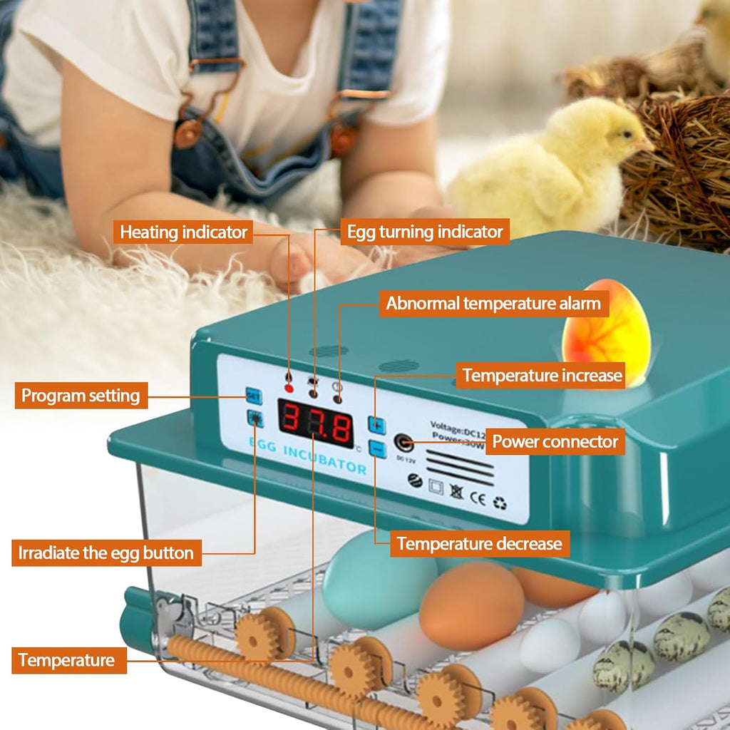 16 Eggs Incubator with Automatic Egg Turning, Temperature Humidity Control, LED Candler, Adjustable Egg Tray Y143