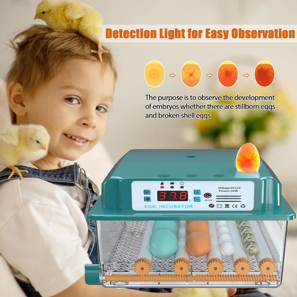 16 Eggs Incubator with Automatic Egg Turning, Temperature Humidity Control, LED Candler, Adjustable Egg Tray Y143