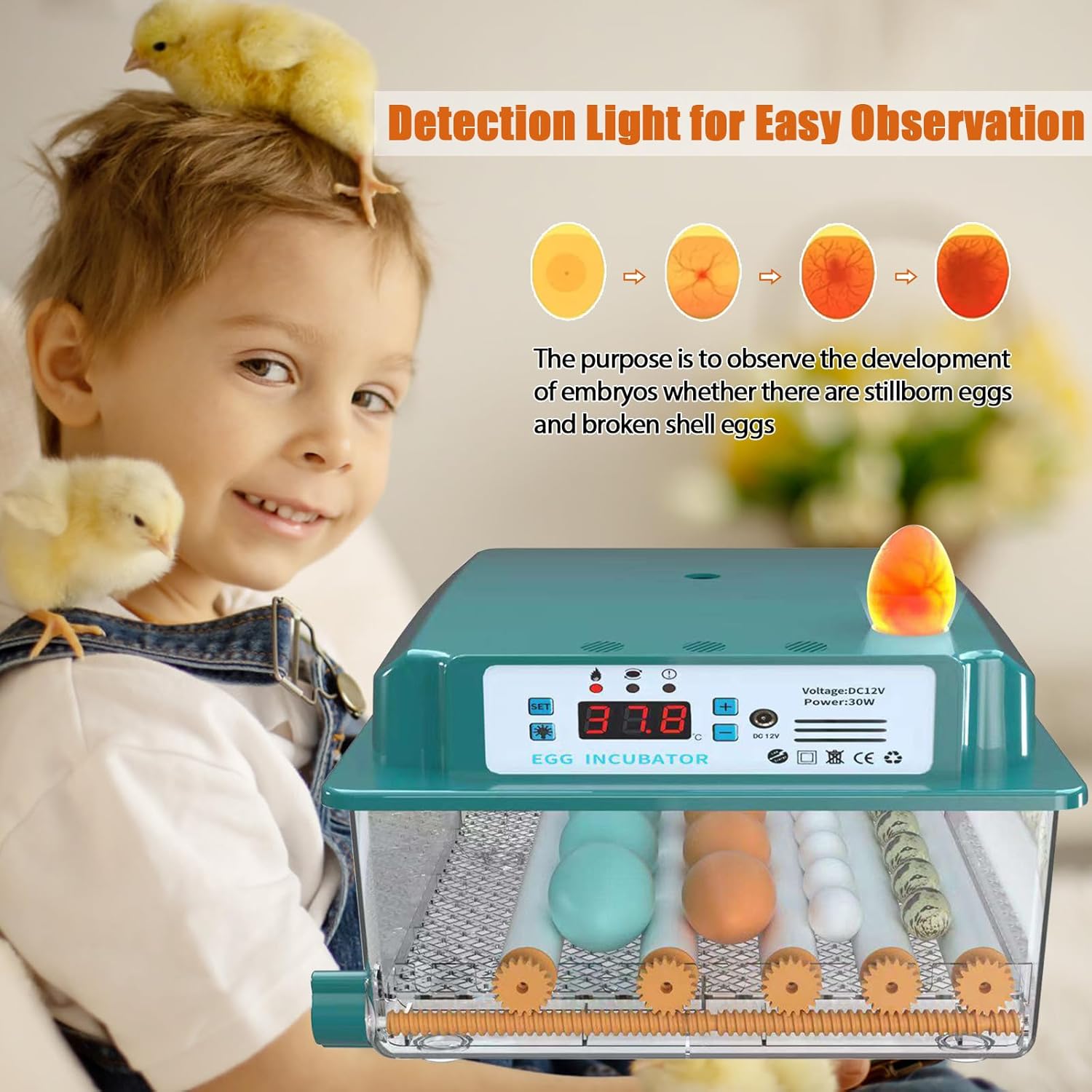 16 Eggs Incubator with Automatic Egg Turning, Temperature Humidity Control, LED Candler, Adjustable Egg Tray Y143