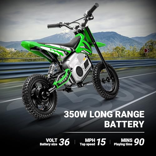 Pink Electric Dirt Bike with 350W Motorcycle O12237