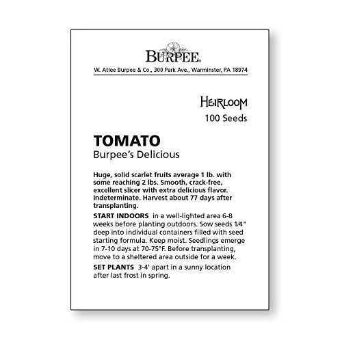 Red Beefsteak Slicing Tomato, 175 Non-GMO Seeds U93925