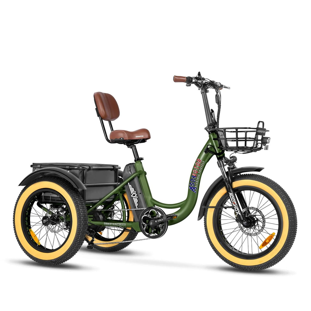 Black 750W 48V 20Ah Electric Tricycle C2132