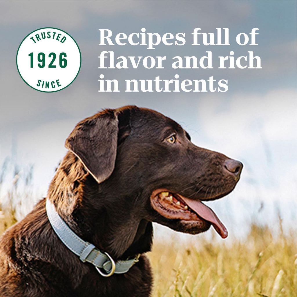 Large Breed Adult Dry Dog Food, Lamb & Brown Rice Recipe, 40 lb. Bag W7517
