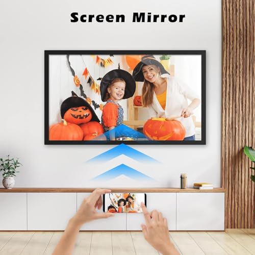 10.1" IPS Touch Screen Digital Picture Frame with 16GB D2132