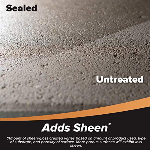 Clear Water-Based Patio Paver Sealer, 1 gal W5389