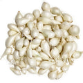 100 bulbs White Onion Sets for planting T45104