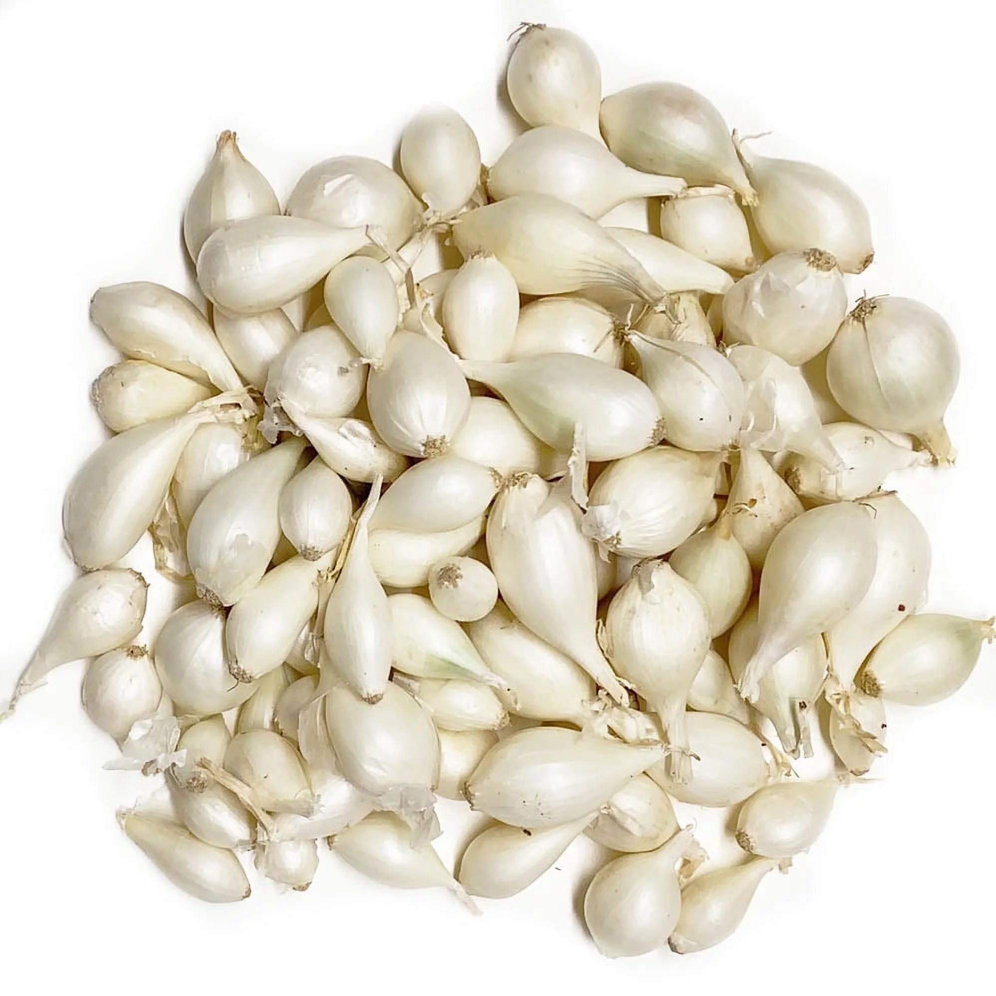 100 bulbs White Onion Sets for planting T45104