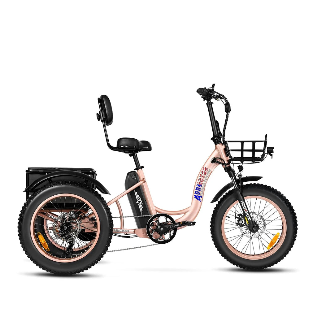 Black 750W 48V 20Ah Electric Tricycle C2132