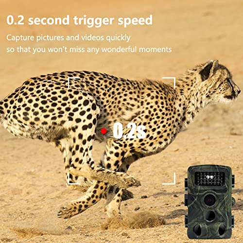 36MP 1080P Mini Trail Camera 2 Pack with 32GB Card X78086