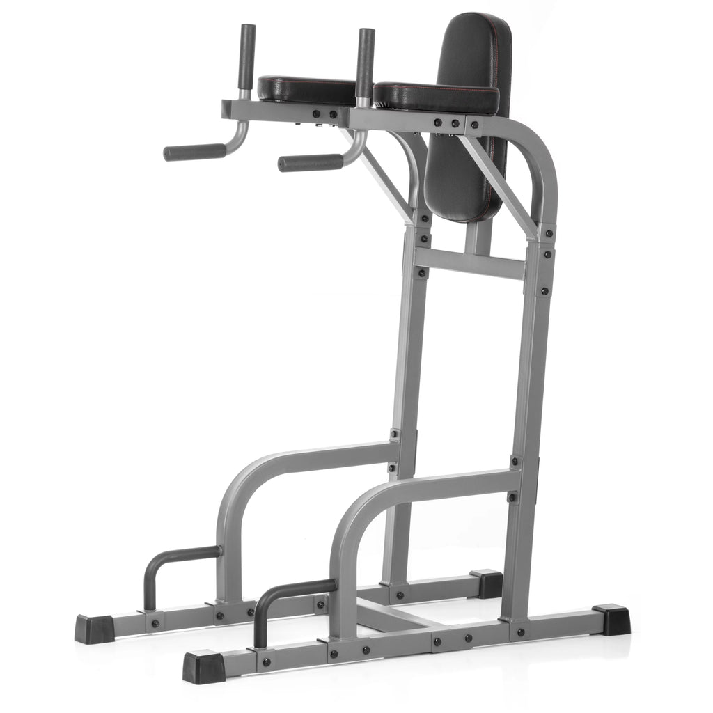 Vertical Knee Raise with Dip Station and Push Up Station L30770