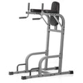 Vertical Knee Raise with Dip Station and Push Up Station L30770
