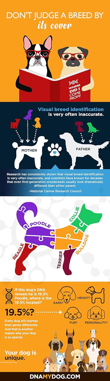 Canine Breed Identification Test J990431