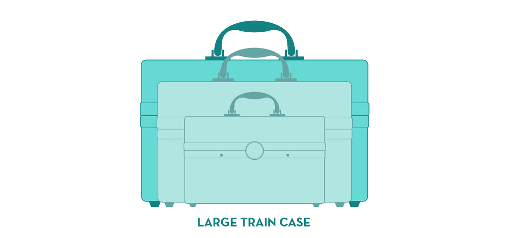 Large Silver Train Case F926