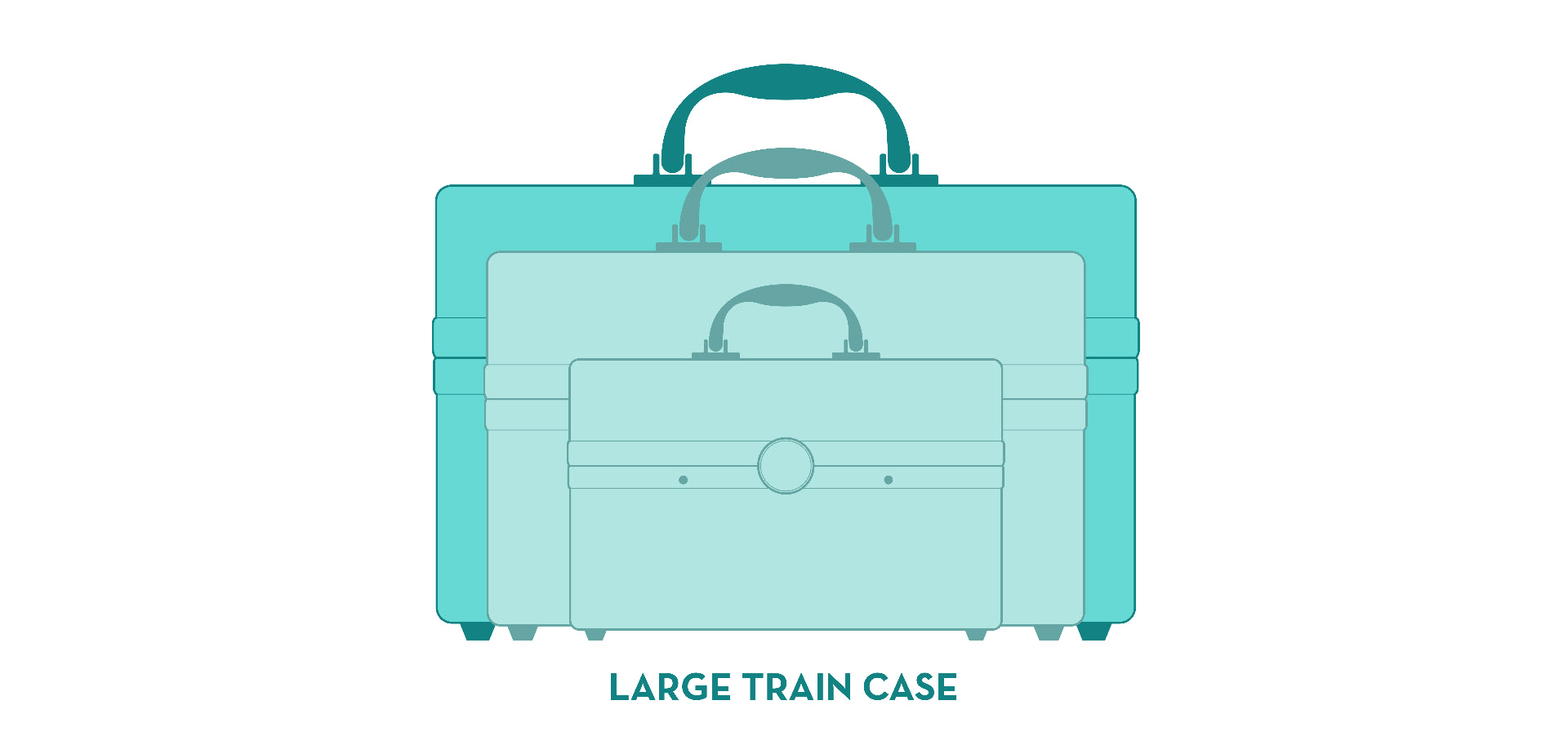 Large Silver Train Case F926