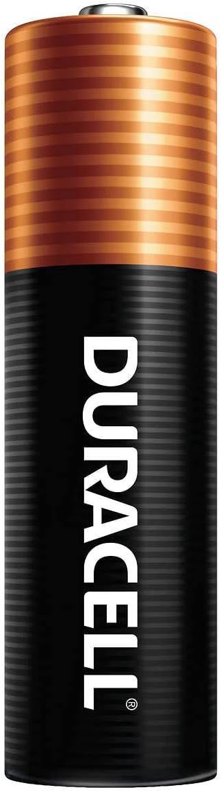 40-count Alkaline AA Batteries N5893