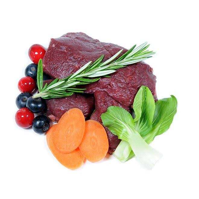 Venison Air Dried Food J389