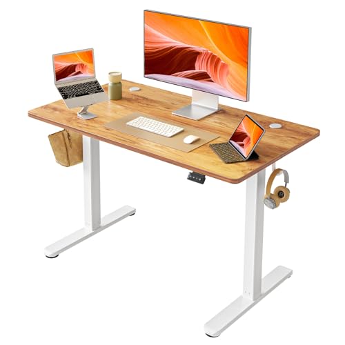 40 x 24 Inch Electric Standing Desk V7763
