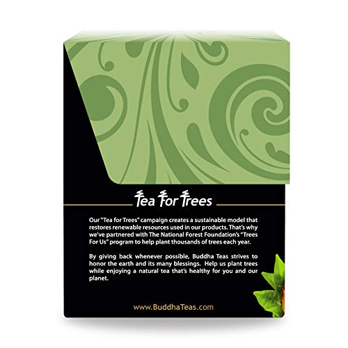 Organic Yerba Mate Tea, 18 Bleach-Free Tea Bag N9470