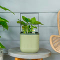 Sage Green Self-Watering Indoor Planter with Trellis T1876