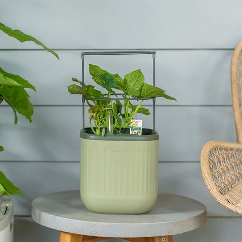 Sage Green Self-Watering Indoor Planter with Trellis T1876