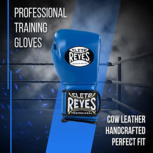 Training Boxing Gloves with Hook and Loop Closure S3796