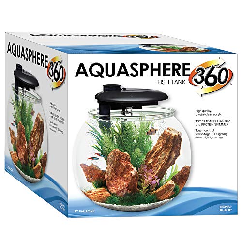 Large Bowl-Shaped Aquarium with LED Light Display M6753