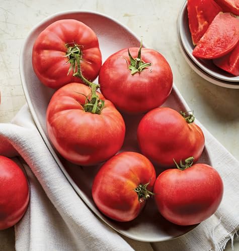 Red Beefsteak Slicing Tomato, 175 Non-GMO Seeds U93925