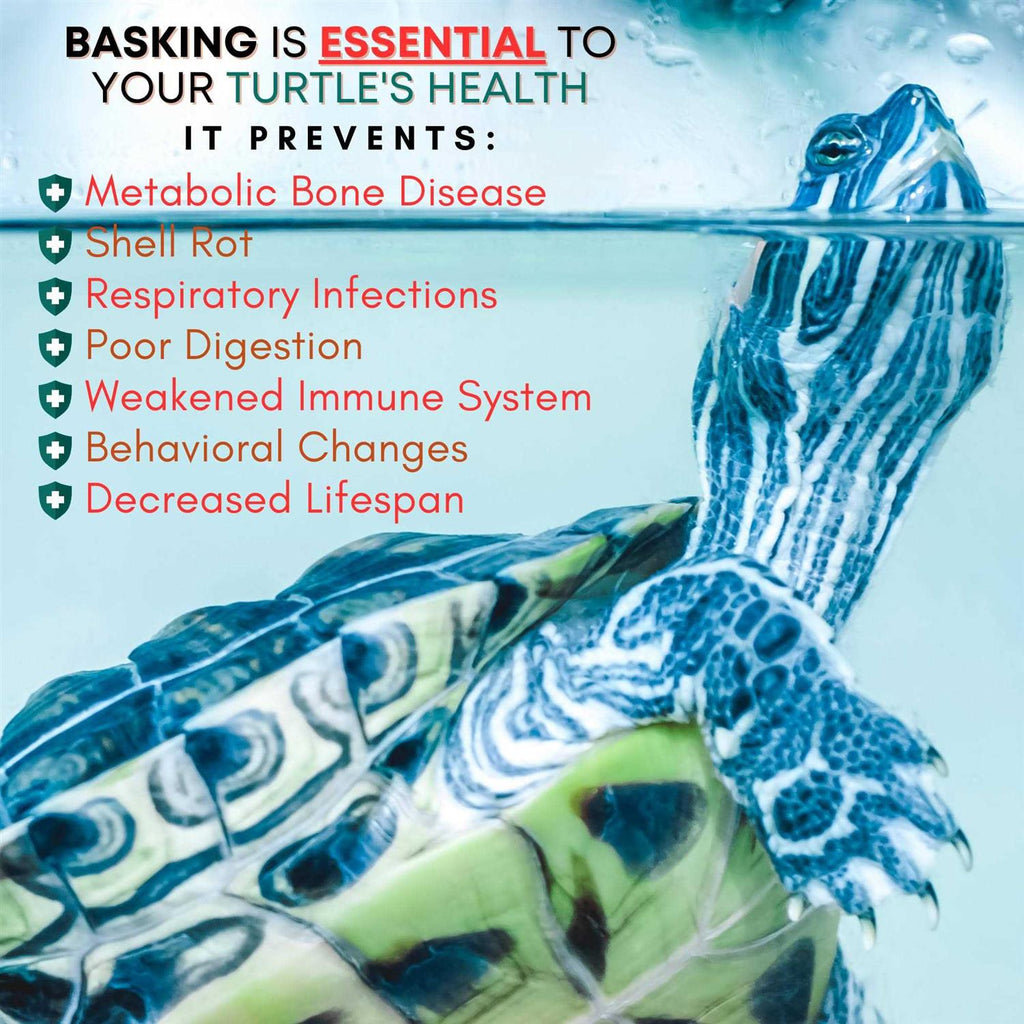 Extra Large Wide Hanging Turtle Basking Platform 17×16 Aquatic Reptile Ramp Dock A647